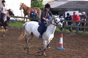Shanter Riding Centre Shanter Riding Centre image
