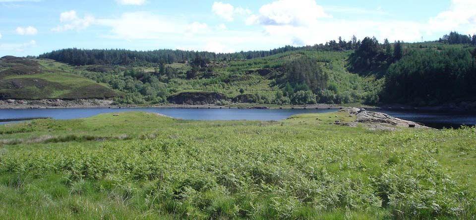 Loch Doon Camping image