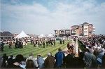 Ayr Racecourse image