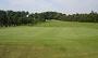 Annanhill Golf Club 6th green image