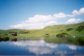 Haylie Trout fishery image