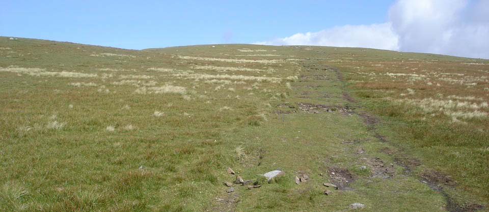 The Merrick west side image