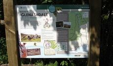 Glenashdale Falls information
